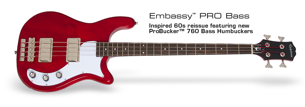 Discover the Ultimate Primus Tommy the Cat Bass Tab for Enthusiasts