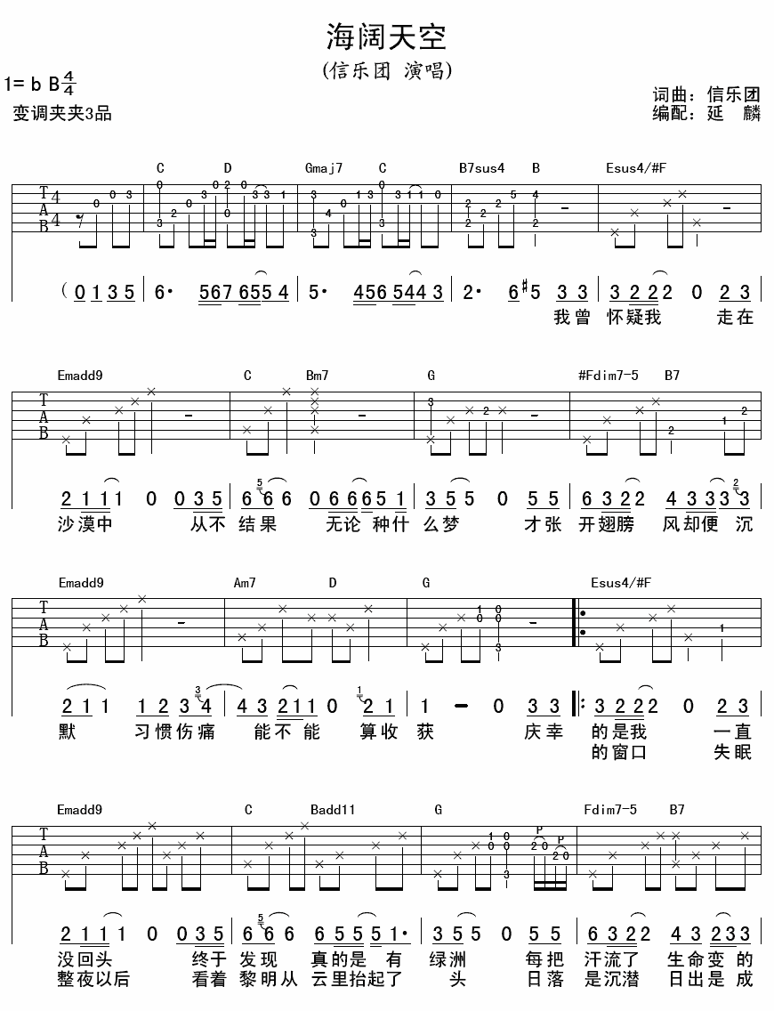 信乐团的 海阔天空 吉他谱 不常用的和弦如何按法啊!