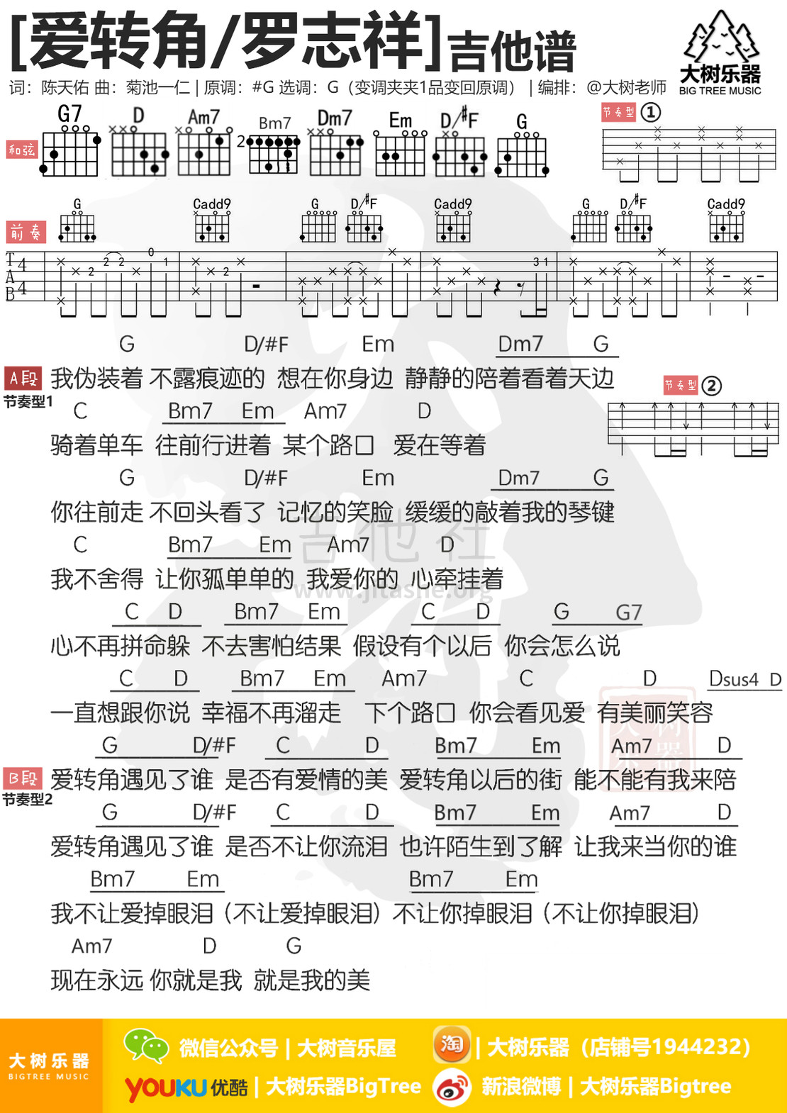 爱转角吉他谱(图片谱,弹唱,伴奏,大树乐器)_罗志