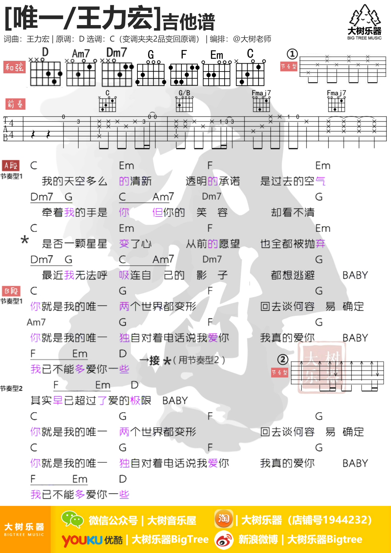 唯一(大树乐器-大树音乐)吉他谱(图片谱,弹唱,伴奏,教学)_王力宏