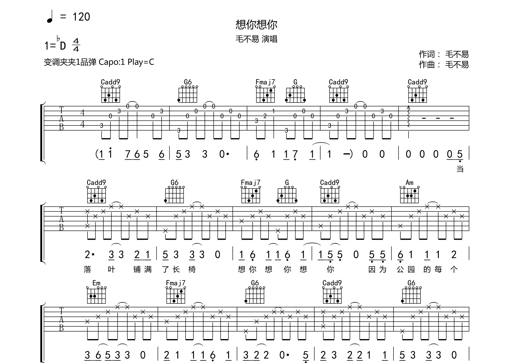 想你想你吉他谱(图片谱,弹唱,小叶歌)_毛不易(王维家)