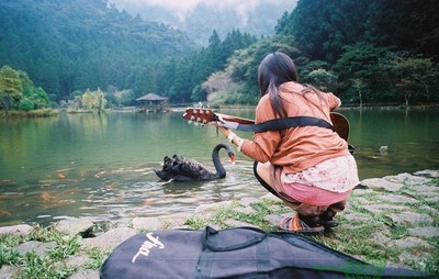吉他世界网
