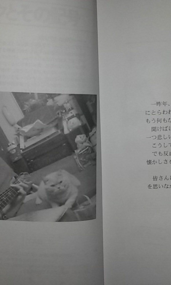 Seeking "BOOKS TABS" Shun Komatsubara - Rynten Okazaki - Ryohei Shimoy[20150510_220646.jpg]