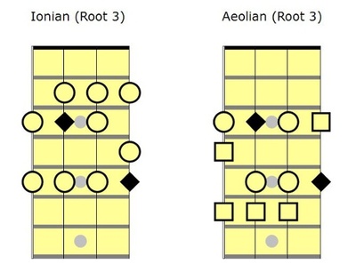 bass_root_31.jpg