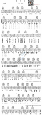 朴树-白桦林.jpg