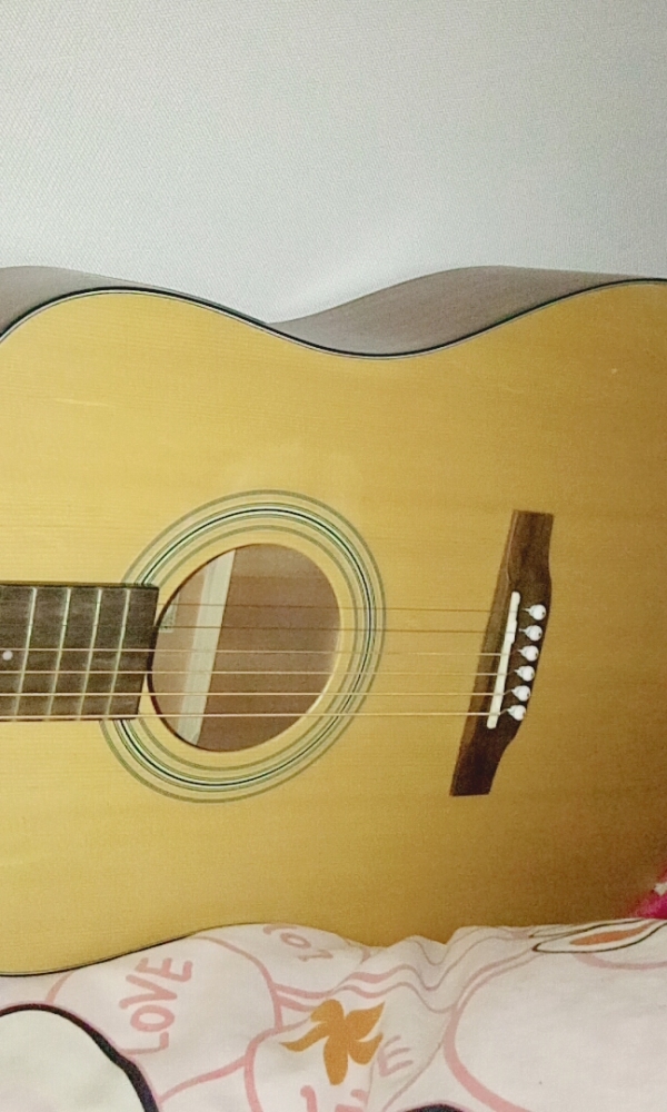 41寸吉他 D-950 单板[B612_20161203_190912.jpg]