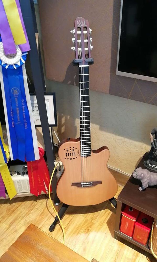 我的godin acs[smallbitmapmmexport1487134552966.jpg]