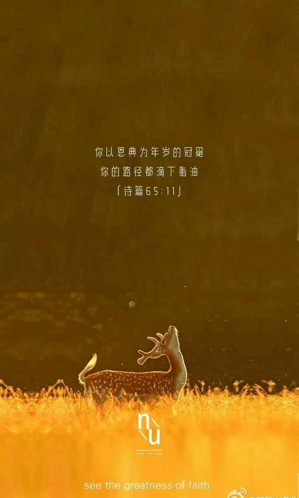 有基督教的乐手吗？昆明[smallbitmapmmexport1486992735124.jpg]