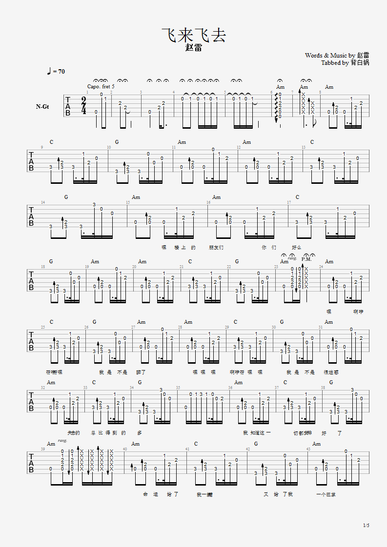 赵雷-飞来飞去（自己扒的livehouse版本）吉他谱(图片谱,民谣,弹唱)_赵雷(雷子)_飞来飞去1.png