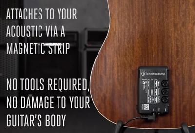 WTonewood Amp1.jpg