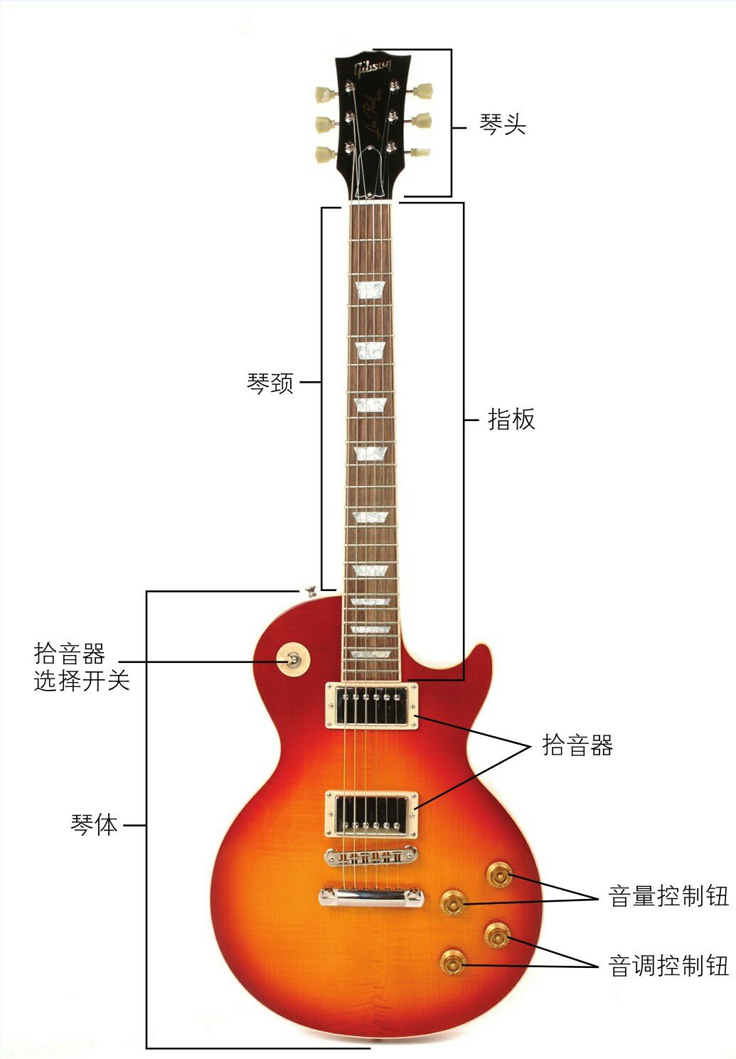 吉他结构介绍图部位图片