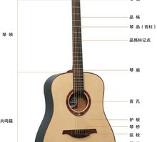3分钟学会如何调整吉他弦距！[smallbitmap原声吉他结构.jpg]