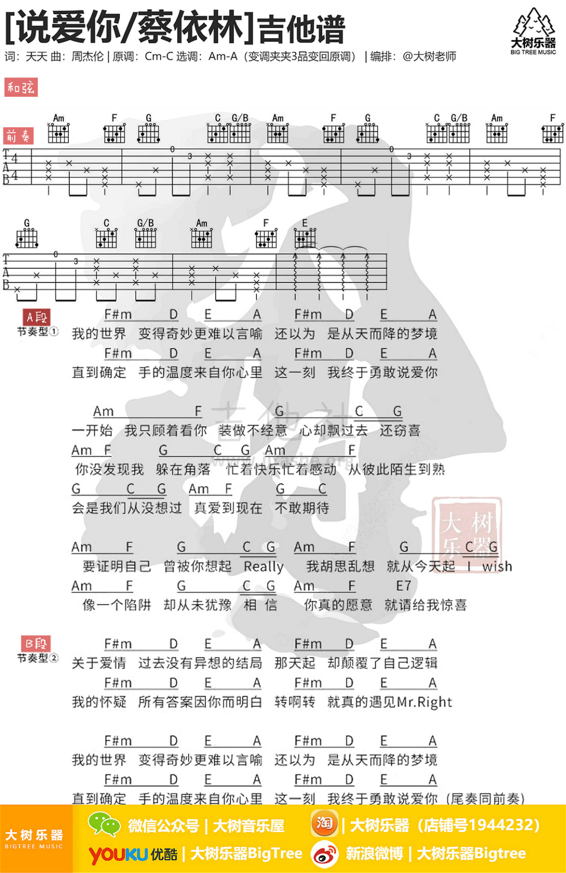 说爱你吉他谱(图片谱,弹唱,大树乐器,大树音乐)_蔡依林(Jolin Tsai)_模板_meitu_3_meitu_1.jpg