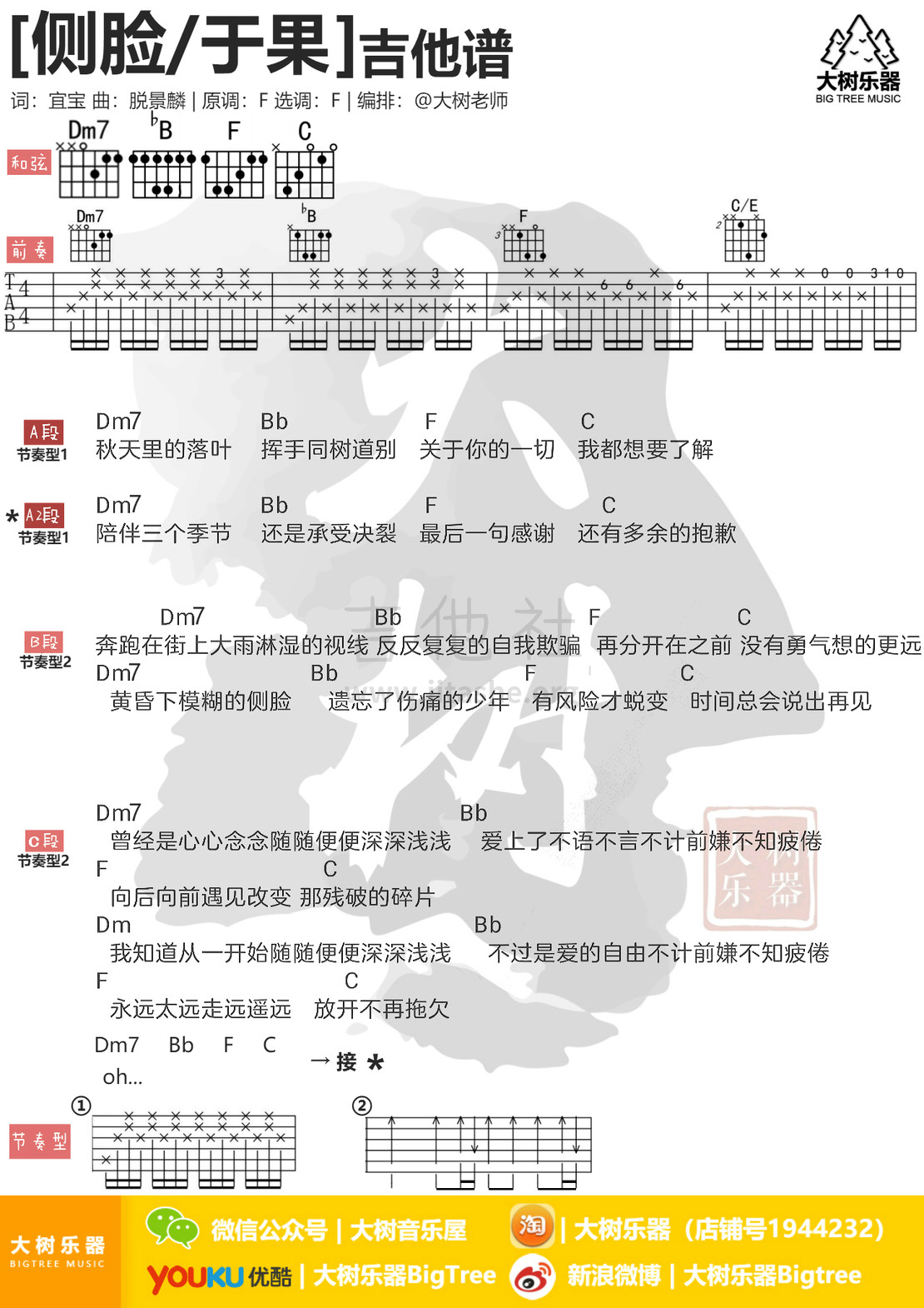 侧脸吉他谱(图片谱,弹唱,大树乐器,大树音乐)_于果_模板_meitu_3_meitu_3.jpg