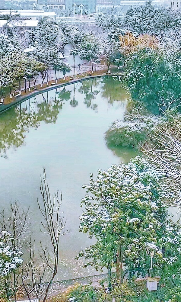 布洛克s25[image.jpg]