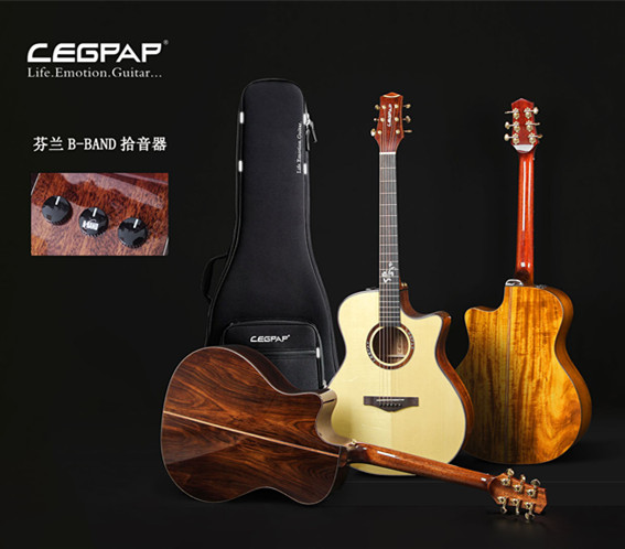 LEGPAP莱柏吉他GA300全套配置.jpg
