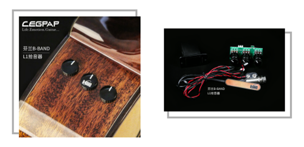 LEGPAP莱柏吉他GA300拾音器.png