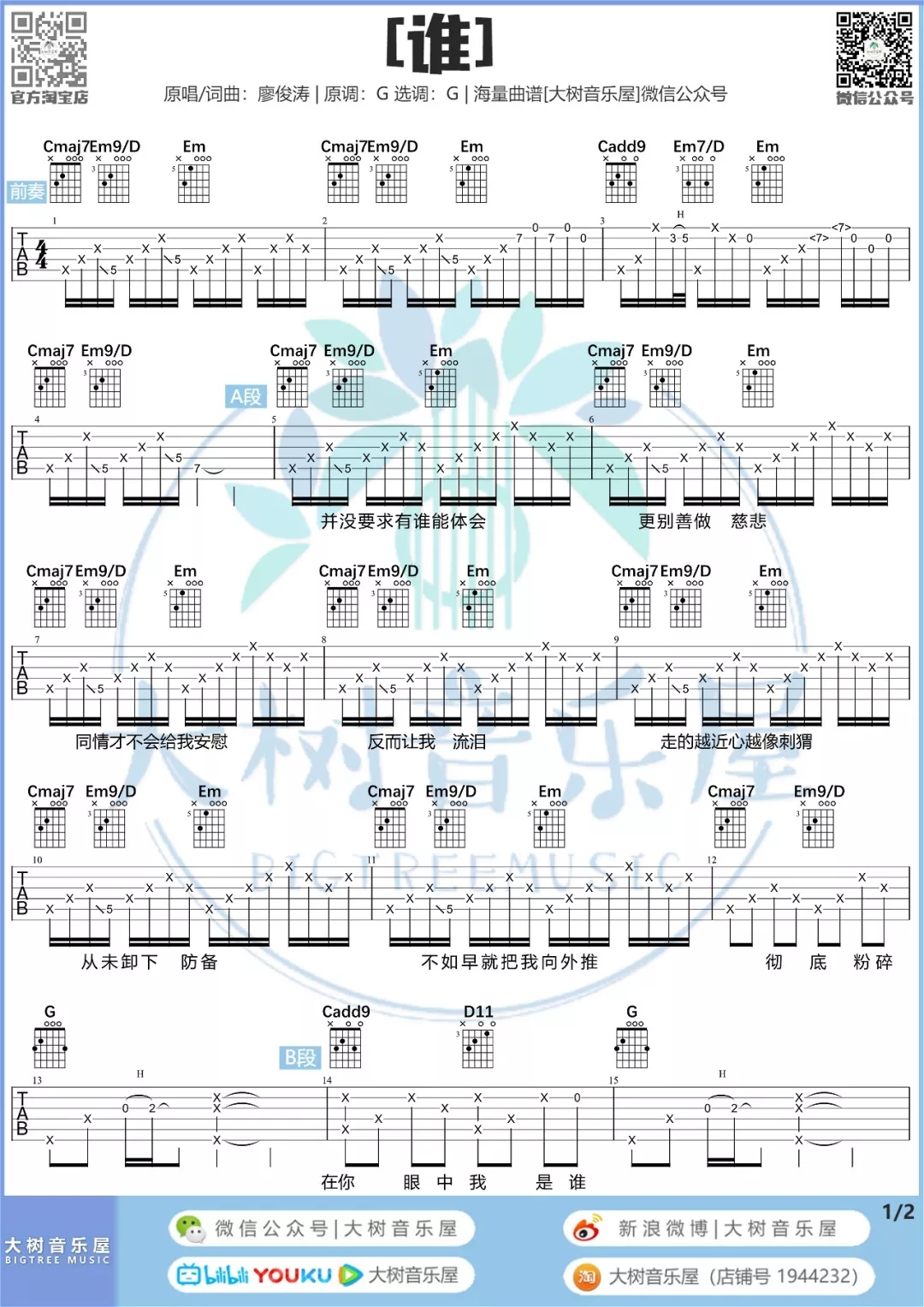 谁（大树音乐屋）吉他谱(图片谱,弹唱)_廖俊涛_1.webp.jpg
