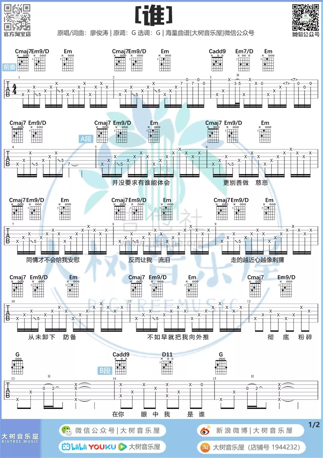 谁（大树音乐屋）吉他谱(图片谱,弹唱)_廖俊涛_1.webp.jpg