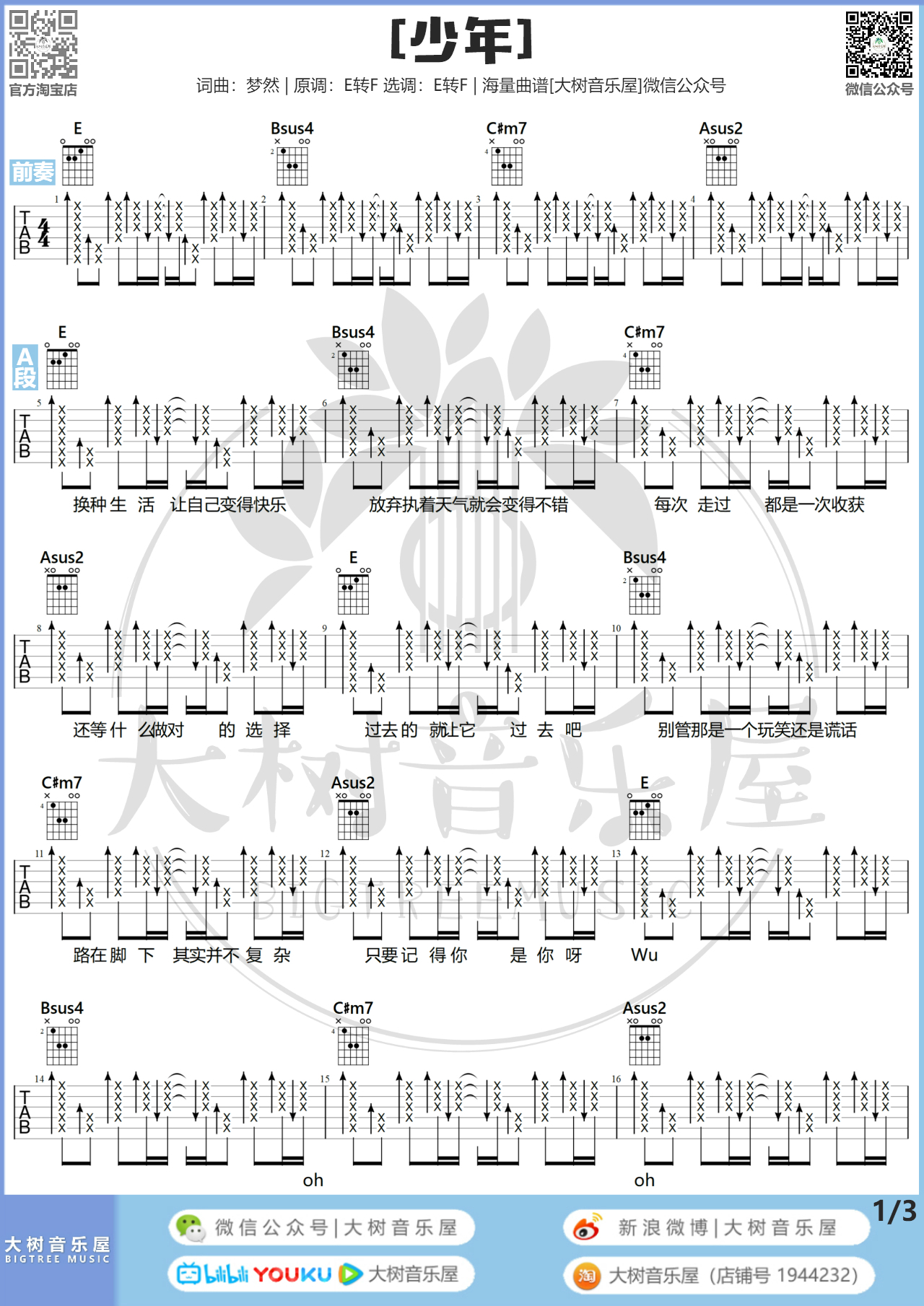 少年（大树音乐屋）吉他谱(图片谱)_梦然_第一页.jpg