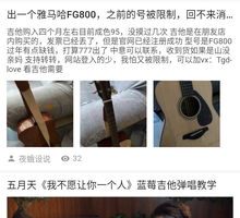 雅马哈gf800[image.jpg]