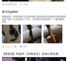 雅马哈gf800[image.jpg]