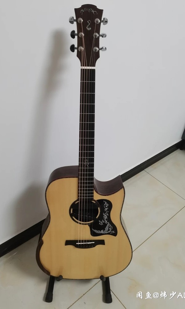 麦杰克sd4000c      天音r2加震拾音器[image.jpg]