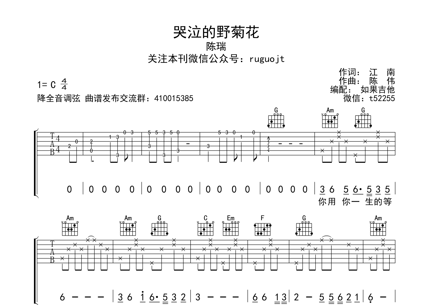 哭泣的野菊花