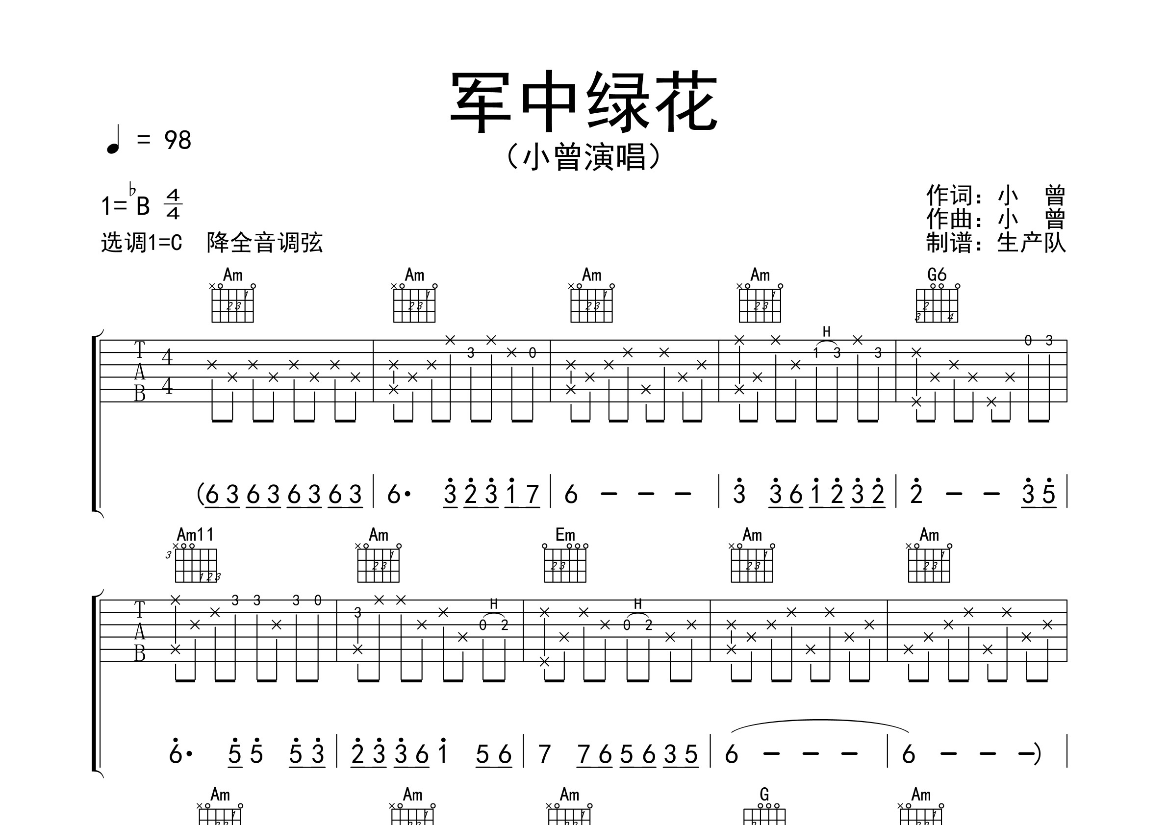 军中绿花（精编版）【民谣经典】