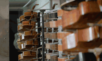 6a8e937a956fc316f41c2c5659b81857.gif