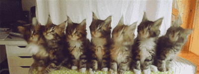 d636e25a85b72fd1fdec57e677352251.gif