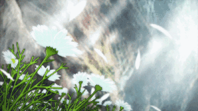 ff512a01e9cf9e1893c2a67f274ecbc1.gif