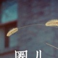 圈儿