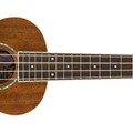 Zuma Concert Ukulele