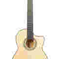 T-F61