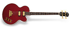 Allen Woody Rumblekat