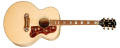 Gibson Acoustic Pete Townshend SJ-200