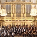 Wiener Philharmoniker(Vienna Philharmonic Orchestra;维也纳爱乐管弦乐团)