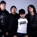 锯S.A.W