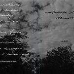 Autumn, Leaves, Scars