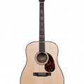 Larrivee D-10 Chocolate Mango