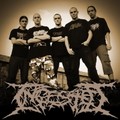 Embryonic Depravity