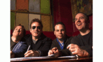 The Wrens