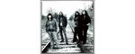 The Magic Numbers