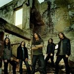 Shadows Fall