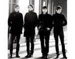 The Rakes