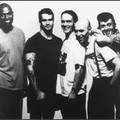 Rollins Band
