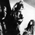 Cuby & the Blizzards