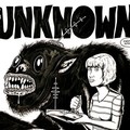 The Unknown