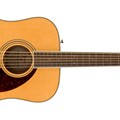 PM-1 Standard Dreadnought, Natural